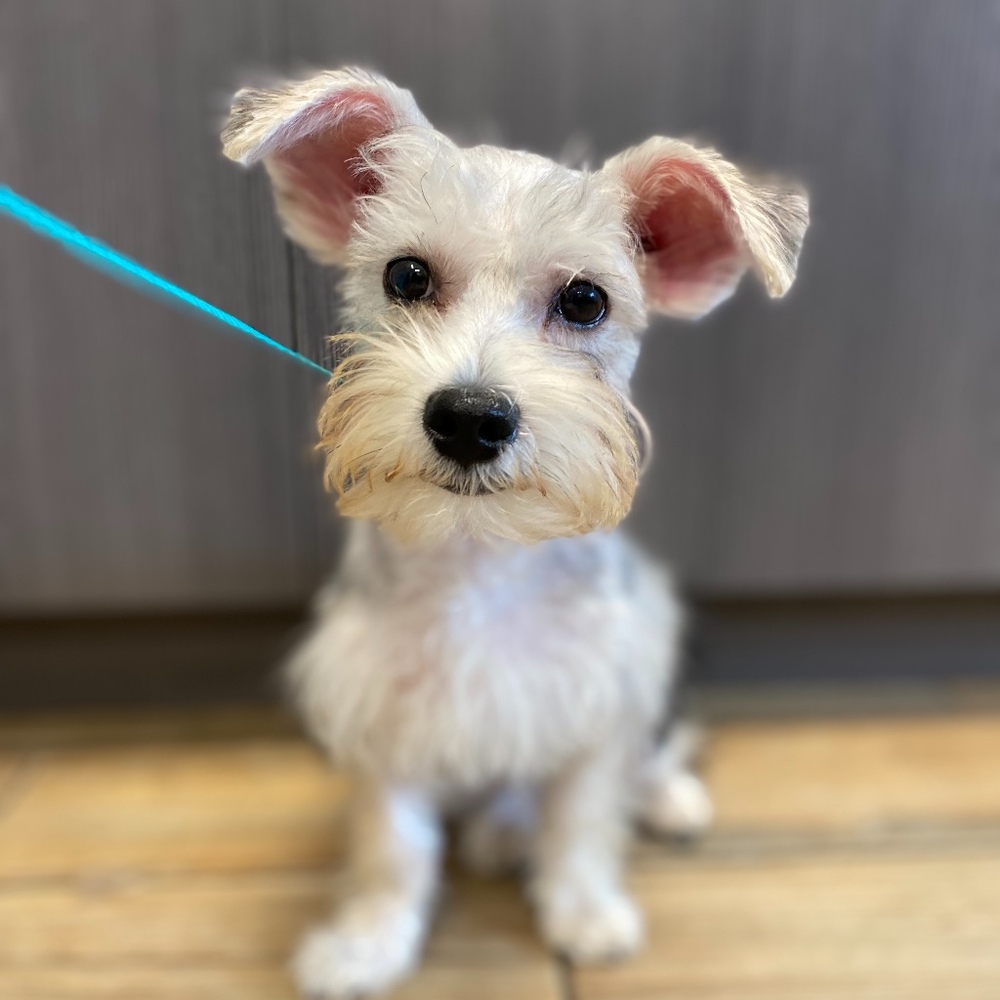 Meet your Posher, Jen